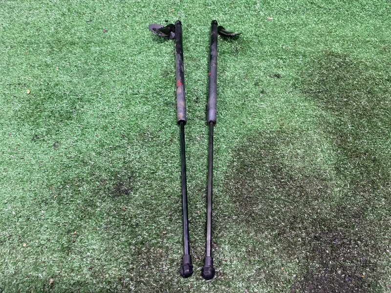 Амортизатор крышки багажника, 1000 рублей, Фроловское