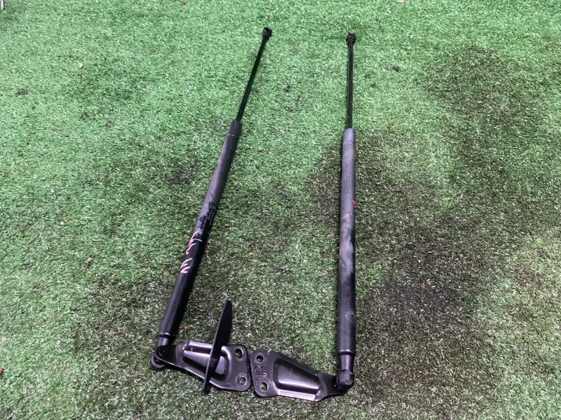 Амортизатор крышки багажника, 1000 рублей, Фроловское