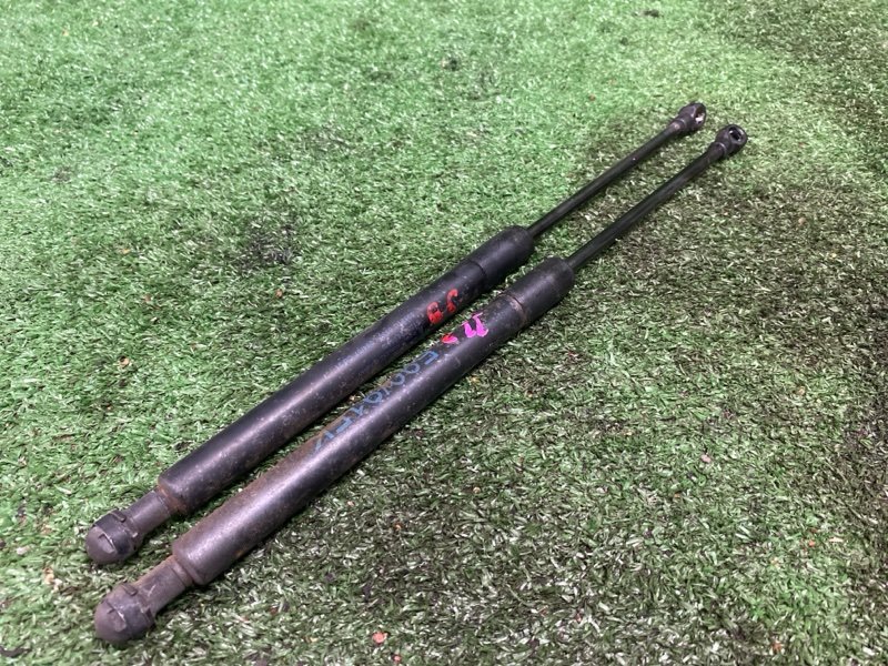 Амортизатор капота, 1000 рублей, Фроловское