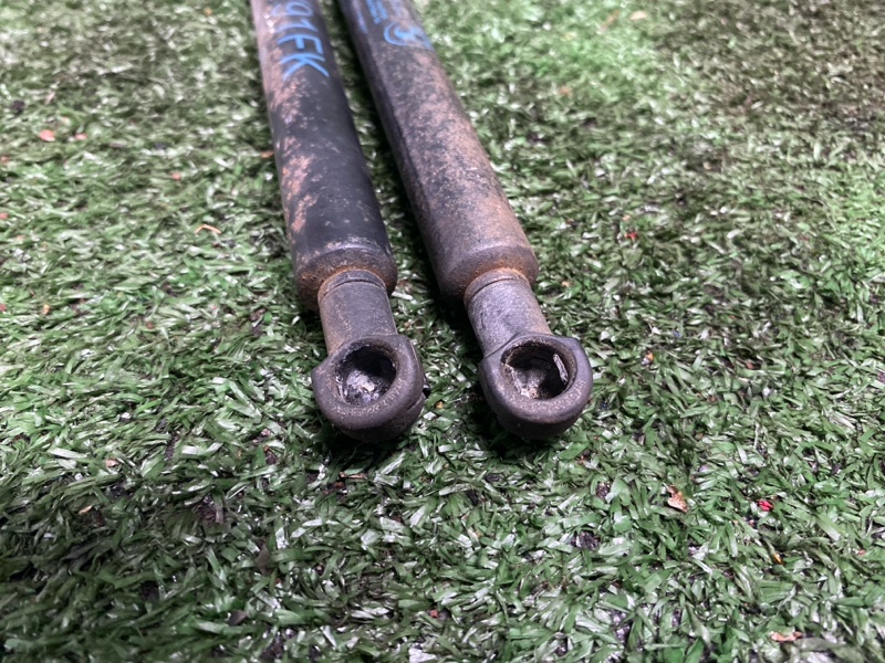 Амортизатор капота, 1000 рублей, Фроловское