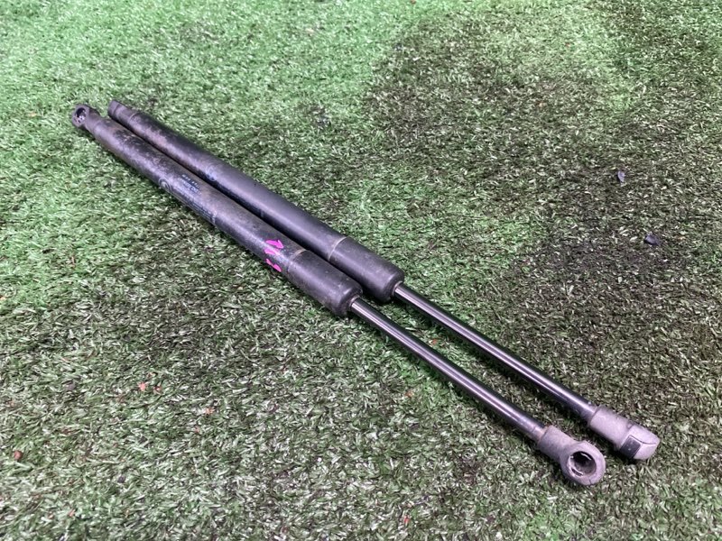 Амортизатор крышки багажника, 1000 рублей, Фроловское