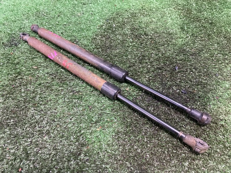 Амортизатор крышки багажника, 1000 рублей, Фроловское