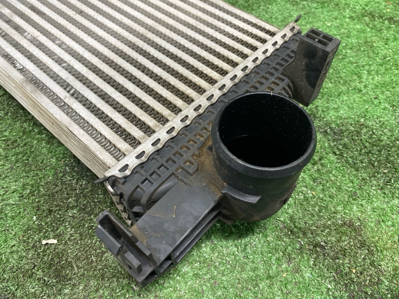 Интеркулер, 10000 рублей, Фроловское