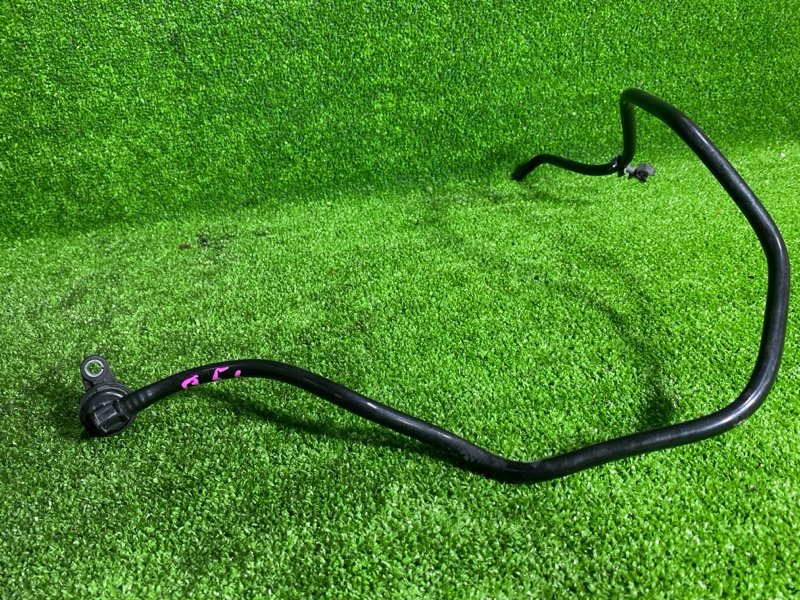 Трубка вакуумная, 1000 рублей, Фроловское