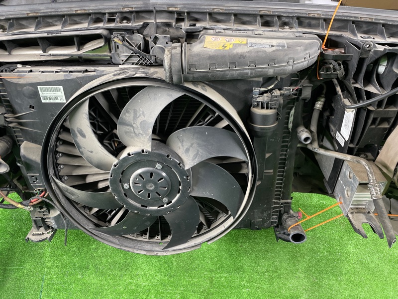 Ноускат, 250000 рублей, Фроловское