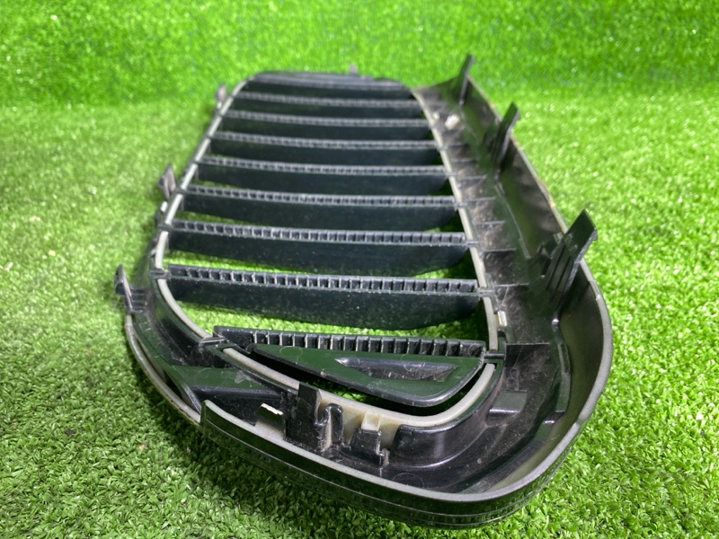 Решетка радиатора, 3000 рублей, Фроловское