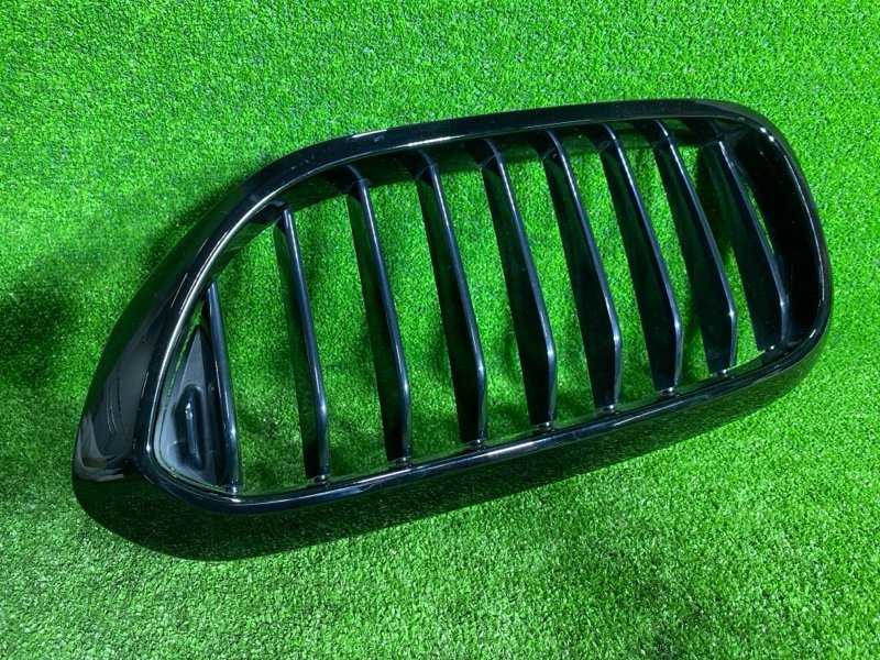 Решетка радиатора, 3000 рублей, Фроловское