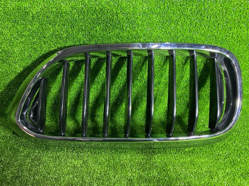 Решетка радиатора, 2500 рублей, Фроловское