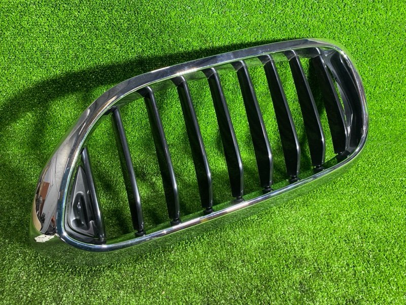 Решетка радиатора, 2500 рублей, Фроловское