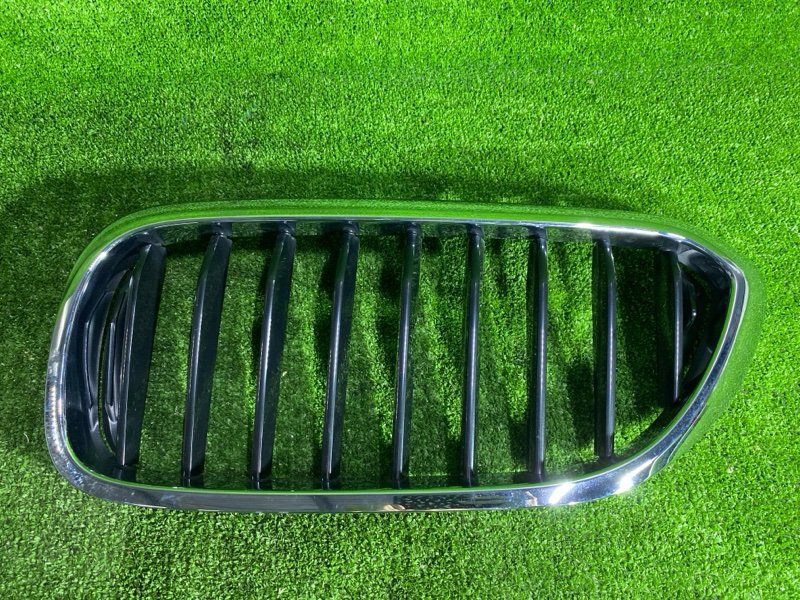 Решетка радиатора, 2500 рублей, Фроловское