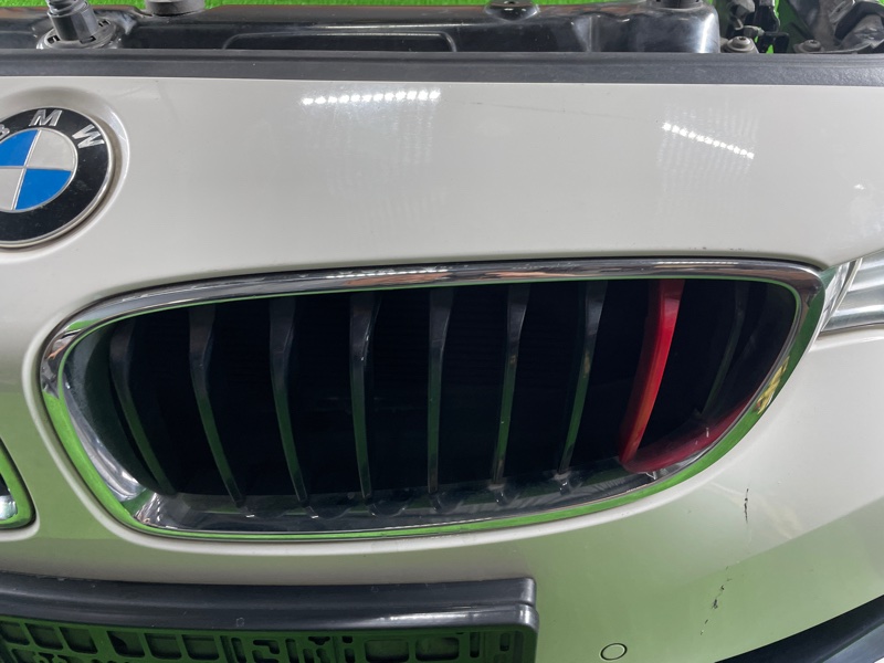 Ноускат, 215000 рублей, Фроловское