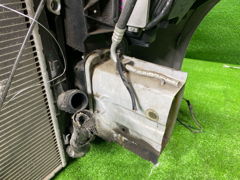 Ноускат, 65000 рублей, Фроловское