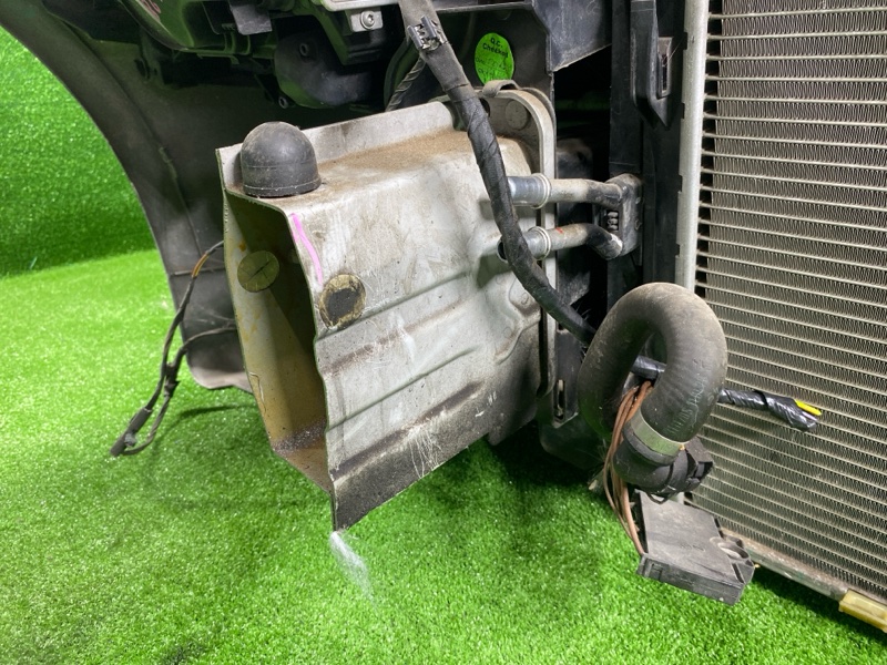 Ноускат, 65000 рублей, Фроловское