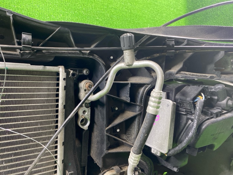 Ноускат, 65000 рублей, Фроловское