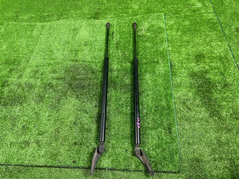 Амортизатор двери багажника, 1700 рублей, Фроловское