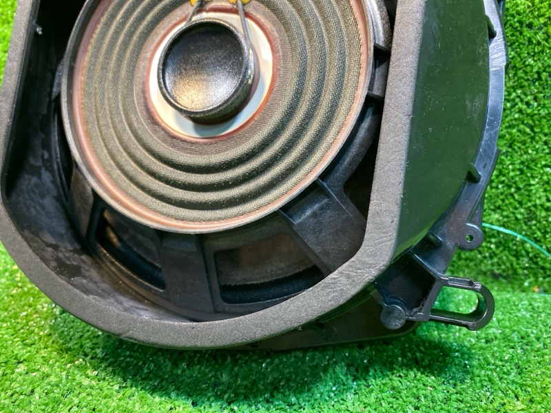 Динамик, 1000 рублей, Фроловское