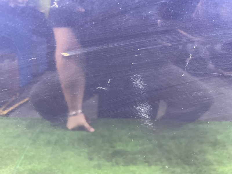 Дверь боковая, 19000 рублей, Фроловское