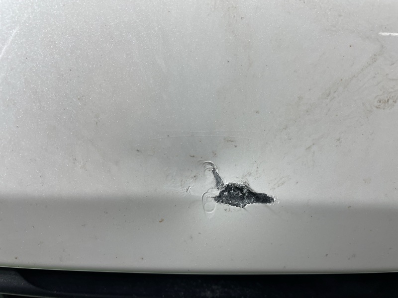 Ноускат, 165000 рублей, Фроловское