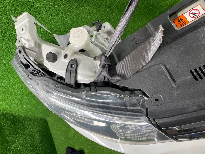 Ноускат, 165000 рублей, Фроловское