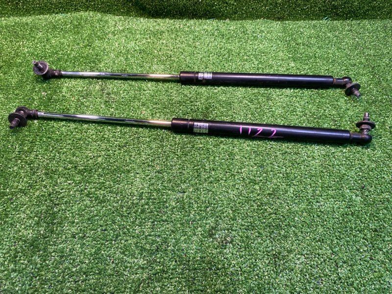 Амортизатор двери багажника, 1000 рублей, Фроловское