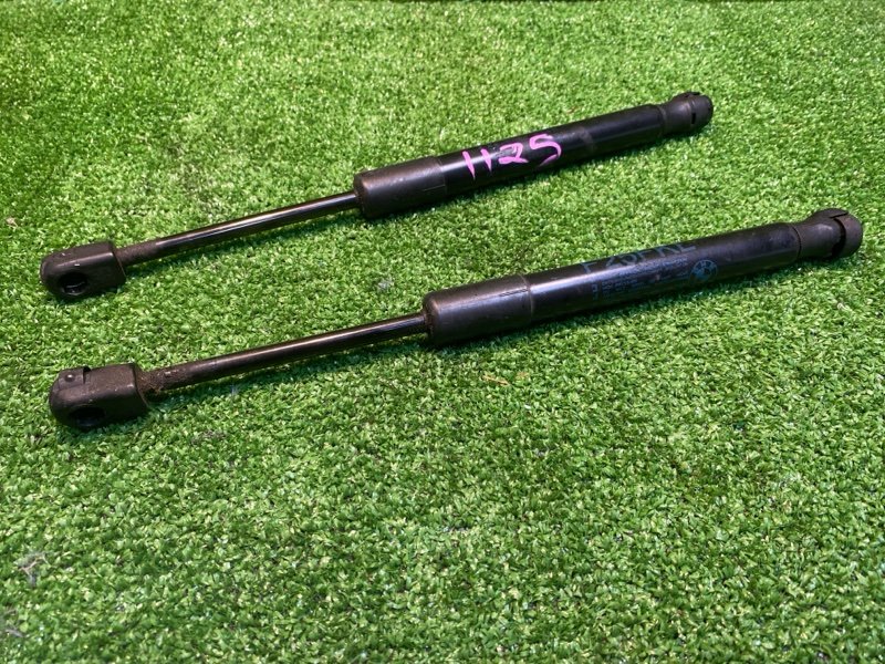 Амортизатор капота, 1000 рублей, Фроловское