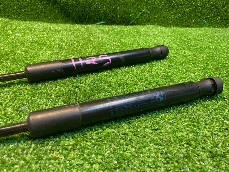 Амортизатор капота, 1000 рублей, Фроловское