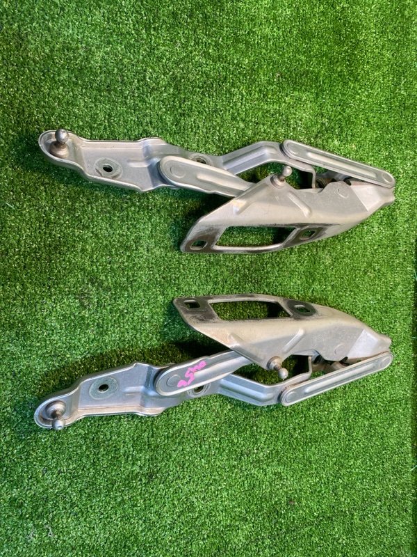 Петля капота, 3000 рублей, Фроловское