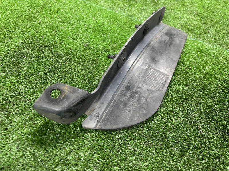 Пыльник крыла, 2000 рублей, Фроловское