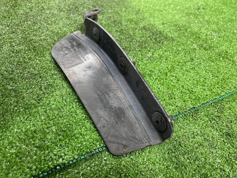 Пыльник крыла, 2000 рублей, Фроловское