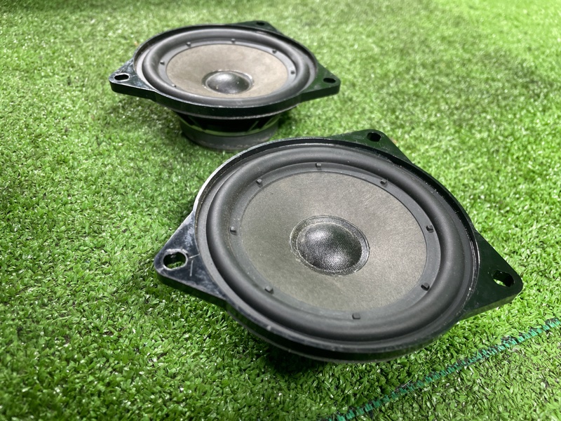 Динамик, 2000 рублей, Фроловское