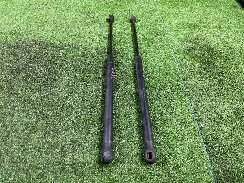 Амортизатор двери багажника, 1000 рублей, Фроловское