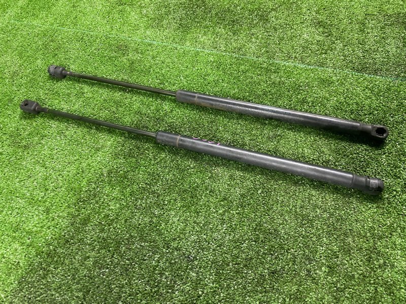 Амортизатор двери багажника, 1000 рублей, Фроловское