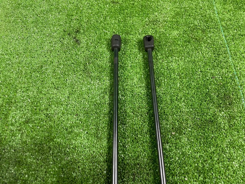 Амортизатор двери багажника, 1000 рублей, Фроловское