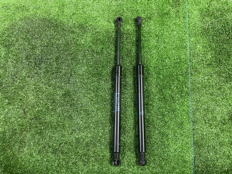 Амортизатор двери багажника, 1000 рублей, Фроловское