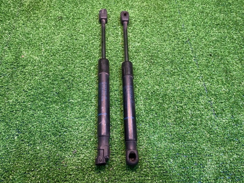 Амортизатор двери багажника, 1000 рублей, Фроловское