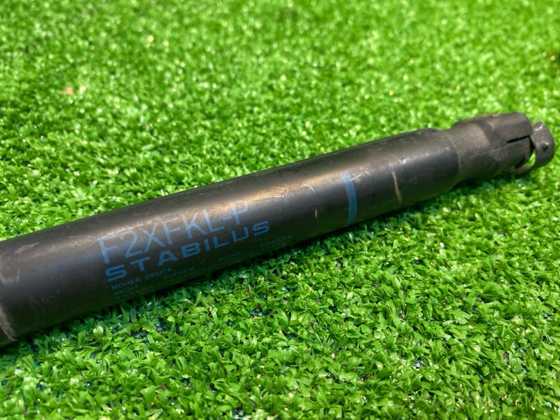 Амортизатор двери багажника, 1000 рублей, Фроловское