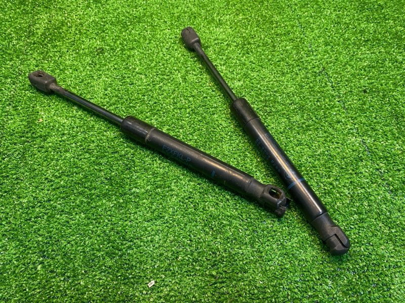 Амортизатор двери багажника, 1000 рублей, Фроловское