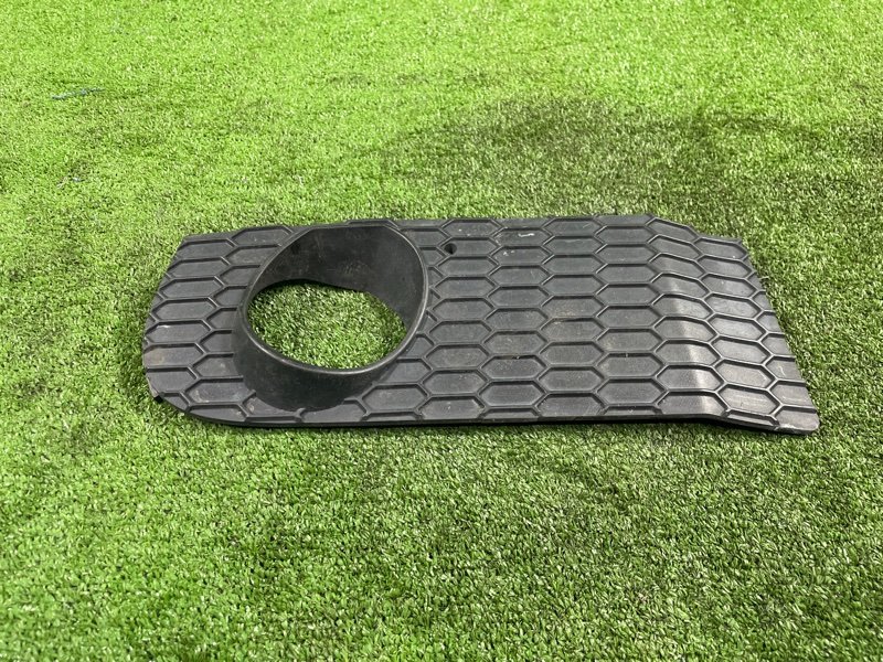 Накладка противотуманной фары, 1500 рублей, Фроловское