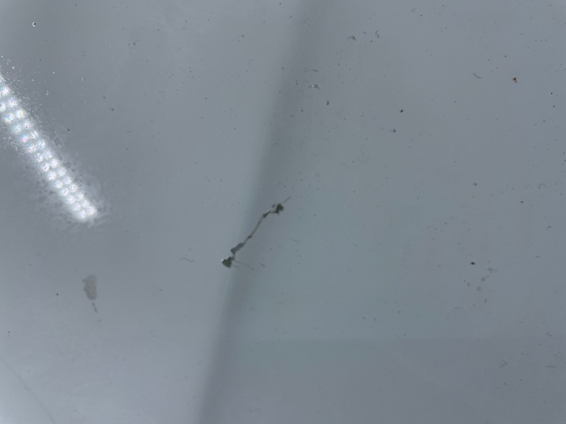 Капот, 10500 рублей, Фроловское