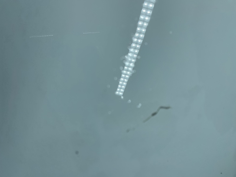 Капот, 10500 рублей, Фроловское