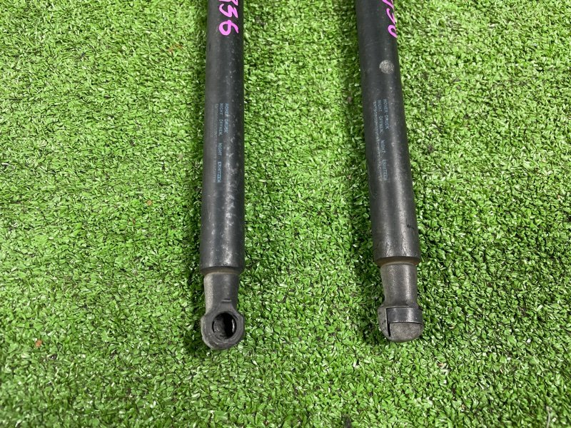 Амортизатор двери багажника, 1000 рублей, Фроловское