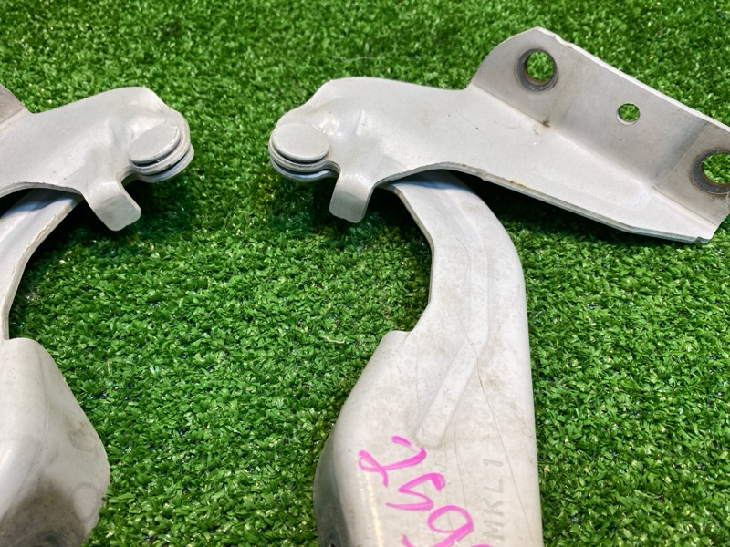 Петля капота, 2500 рублей, Фроловское