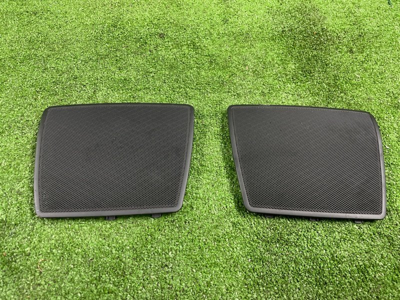 Накладка в салоне, 1000 рублей, Фроловское