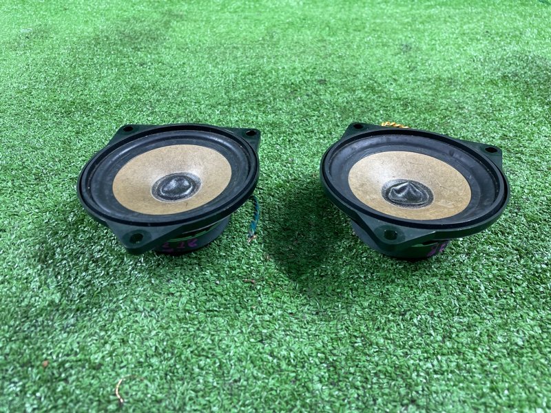 Динамик, 1600 рублей, Фроловское