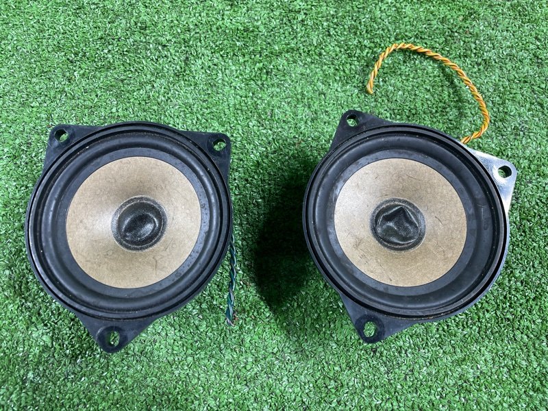 Динамик, 1600 рублей, Фроловское