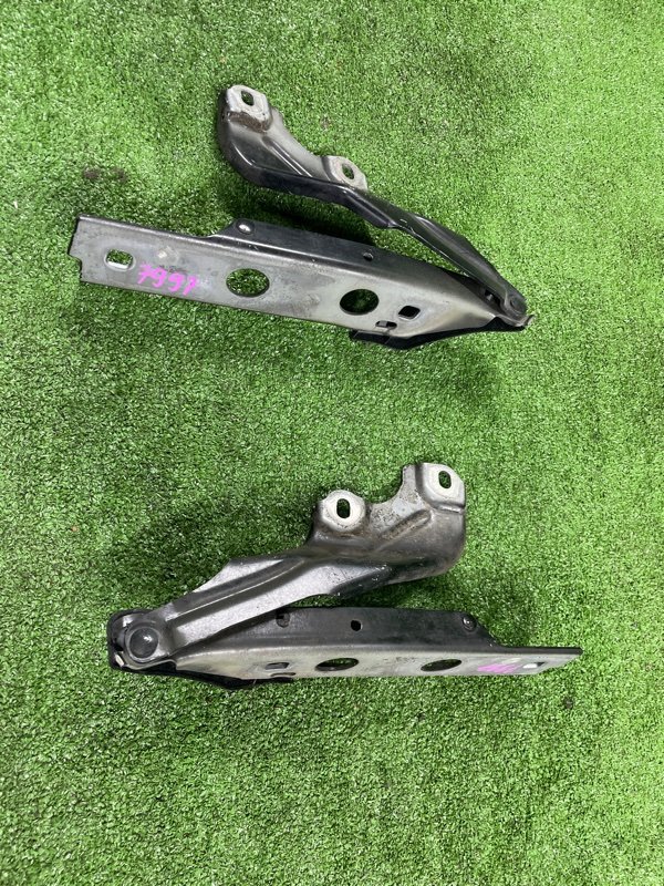 Петля капота, 2000 рублей, Фроловское