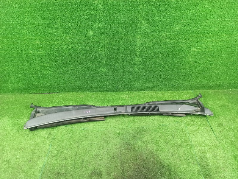 Накладка кузова, 1000 рублей, Фроловское