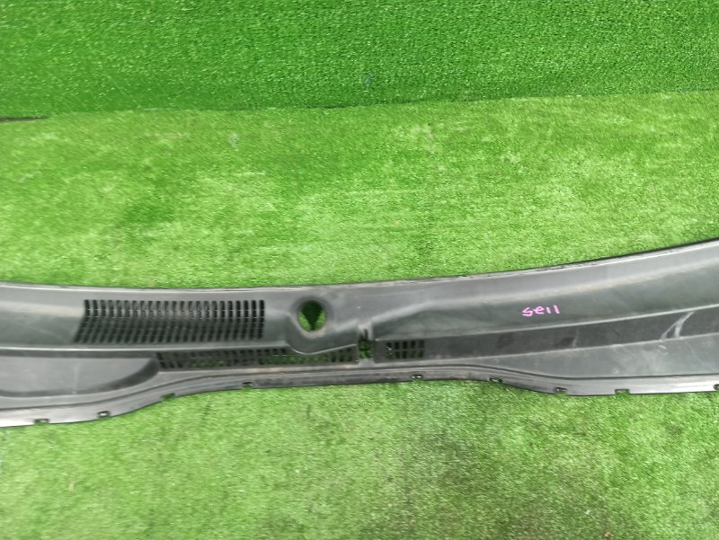 Накладка кузова, 1000 рублей, Фроловское