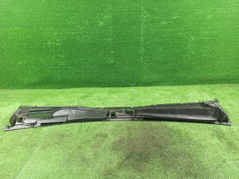 Накладка кузова, 1000 рублей, Фроловское