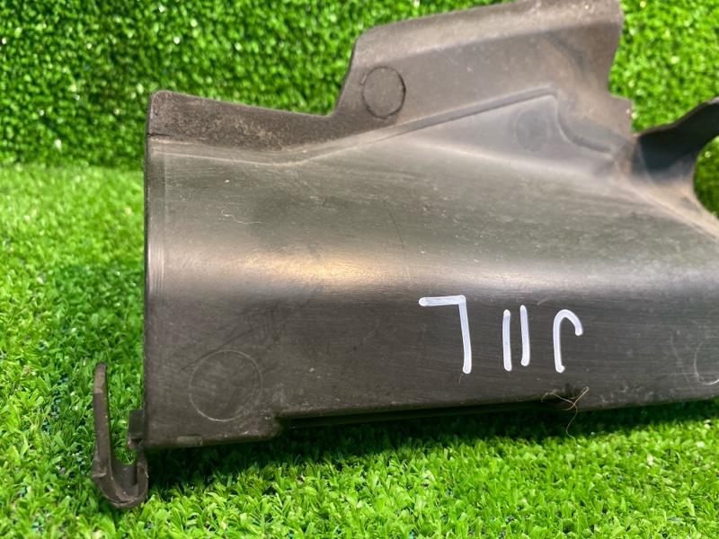 Накладка на рамку радиатора, 700 рублей, Фроловское